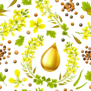 Rapeseed